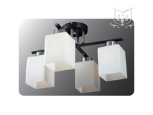 61001/4 CR+DWE ������ � ����������� 61001/4 CR+DWE