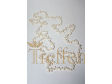 ��7481_240 ���.jpg