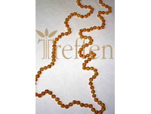 ��2325_200 ���.jpg