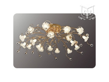 1918/18 FG Y ������ � ����� 1918/18 FG Y �����