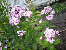 �������� ������