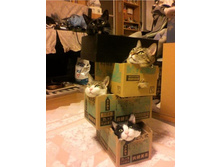 �������������