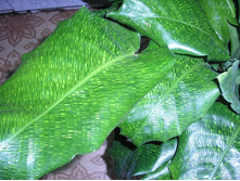 ������� ������.....