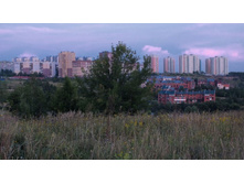 DSCF7971.jpg
