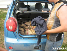 ���������� ��������... �� ������� �������... :)