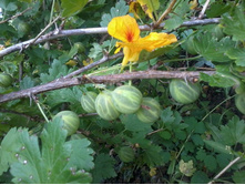 ��������� ������� �������