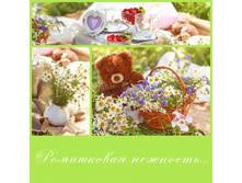 ��� �����-12.jpg