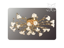 1918/21 FG Y ������ � ����� 1918/21 FG Y �����