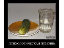 1344341209_037.jpg