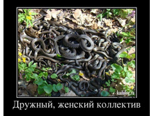 1374654031_034_3.jpg