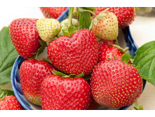 ��������� ������� �������  36�