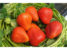 ��������� ������� �����   36�