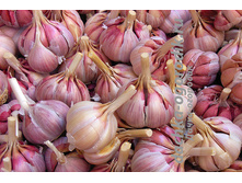 ������ ������ ������������ ����������� ����� 258�