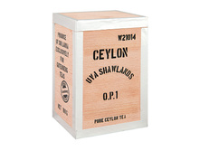 ������������� ������ ��� � ���������� ������� ������ ��� ������� OP1 (100 ��.)