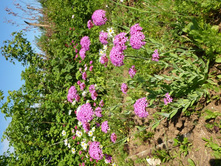 03.08.2013 8:38:05 ������ 2-� ����.20�