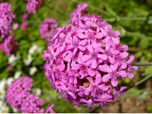 03.08.2013 8:38:45 ������