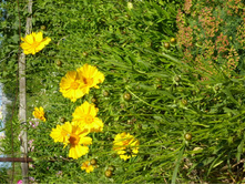 03.08.2013 8:39:16 ���������