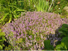 03.08.2013 8:54:06 ������ ��������