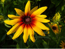 �������� 40�-�������� � ������ ��� ��������� ���� ���������         ��������