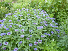 ������� 10�