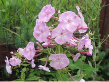 �������� �����