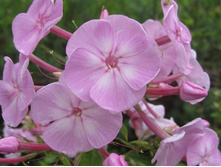 �������� �����