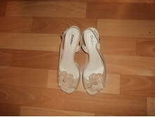 ����� DSC01050.JPG