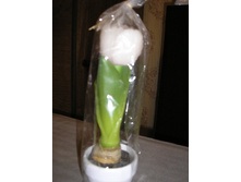 ����� �������.