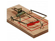 ���������� 35 ���. ���. 8637�