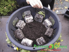 ����� ���������� ��������� ��� �� 12 �����. 385 ���. 38 ��..jpg