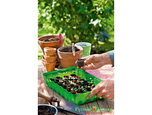 ��������� ��������.jpg