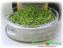 300 ���. ������������ ����������� ����������� ��. - 2.jpg