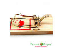 ���������  35 ���. �� 2��. (��������). ���. 8634�