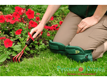 ����������� ������� Planto - 2.jpg