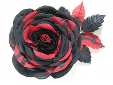 ���� "������ �����" �����-�������