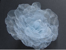 ���� �� �������, �������� "�������� �����", ������� ����