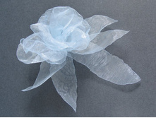 ���� �� �������, �������� "�������� �����", �����-����������