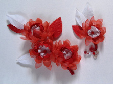 ����� ����������� ����-�������