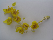 �������� "��������� �����" - ������� �����