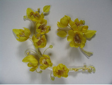 �������� "��������� �����" - ������� ����� � ����������