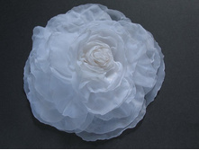 ���� �� ������� "����� ���������"