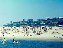 ����������� �����.jpg