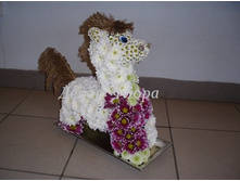 �������-003