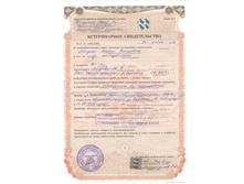 ��� �������������.jpg