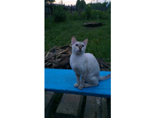 2013-07-16 21.33.39.jpg