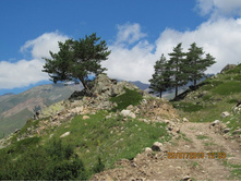 ���������� �������