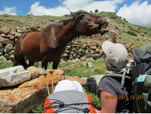 ��� ��� ����!