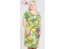 ������ �������