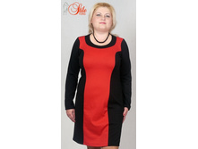 ������ �����