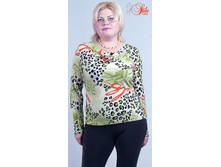 ����� ��������